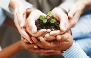 Earth Day is Every Day: Reducing Your Carbon Footprint Year-Round