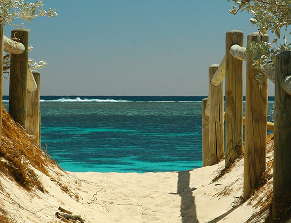 Your Eco-Friendly Summer Getaway