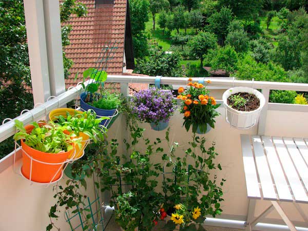 Living Green – Your Eco-Friendly Apartment, Part II
