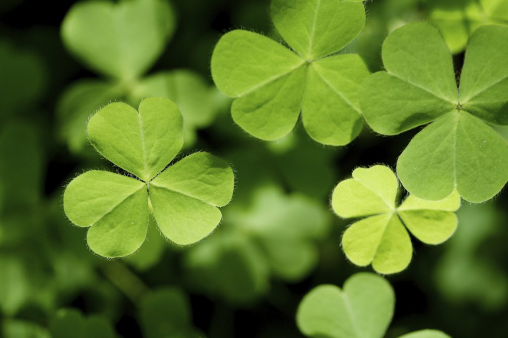 Putting the โGreenโ in St. Patrickโs Day