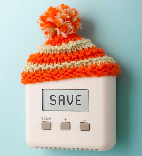 Going Green in A Small Space: Your Eco-Friendly Apartment or Condo