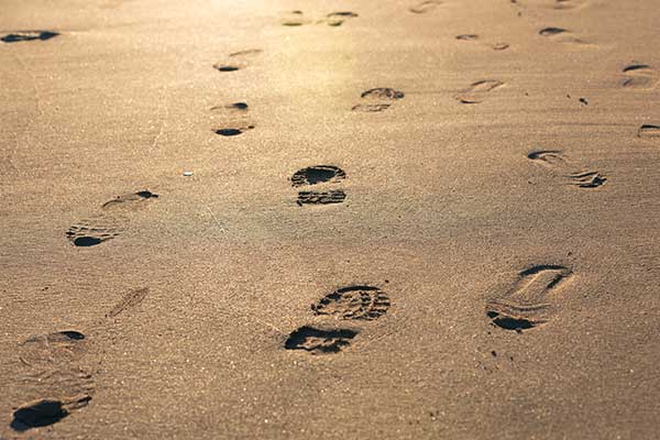 Top Tips for Reducing your Family’s Environmental Footprint