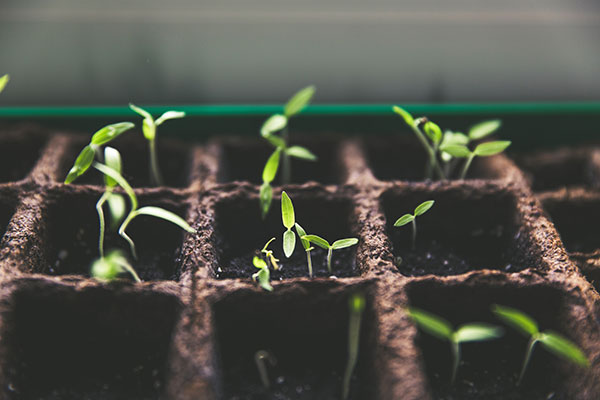 April Showers Bring May Flowers: Your Guide to a “Green” Green Thumb