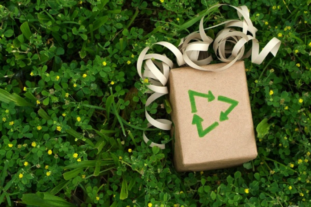 Eco-Friendly Ideas for Mother’s Day