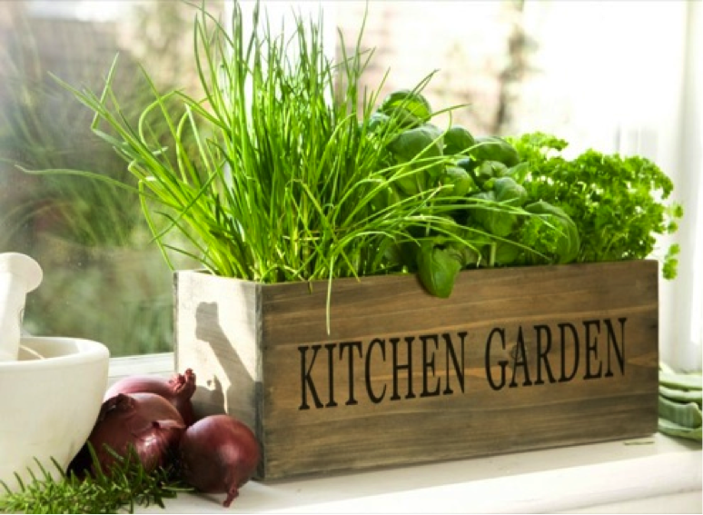Indoor Gardening 101