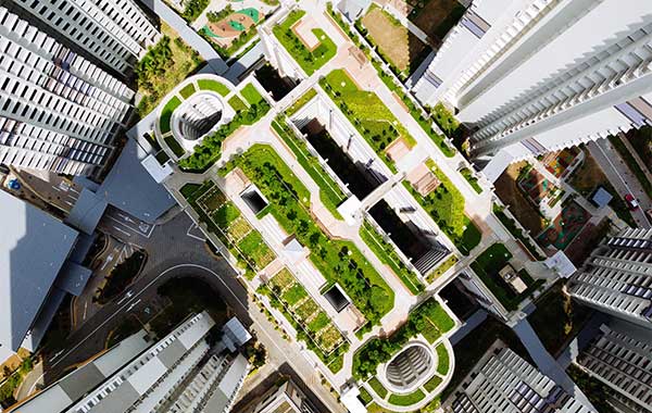 Top Six Cities to Find Green Rooftops