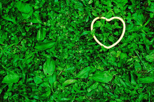 Your Next Date: Make It Eco-Friendly!