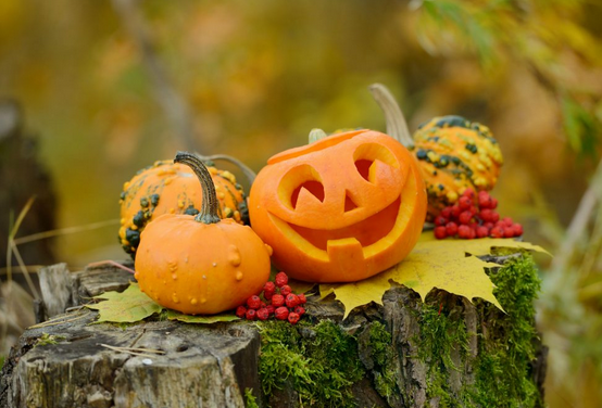 5 Tips for a Green Halloween