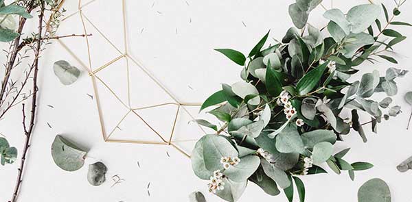 Green Holiday Tips, Part II