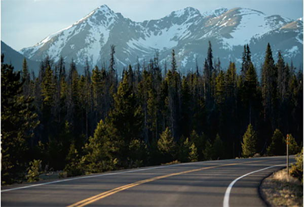 A How-To For A Green Road Trip