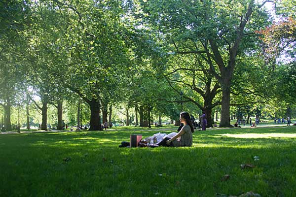 Our Five Favorite Tips for a Great, Green Labor Day