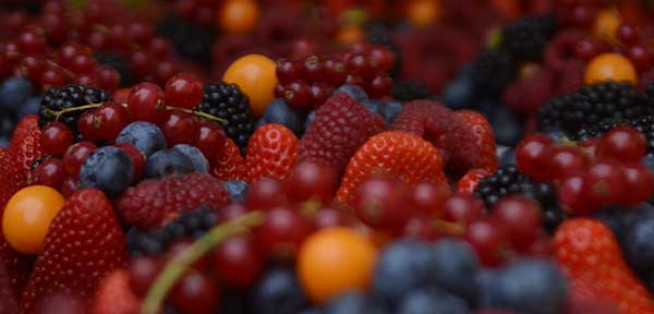 Fall’s Bountiful Recipes