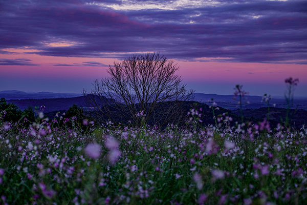 Your Green Travel Guide to Santa Clara