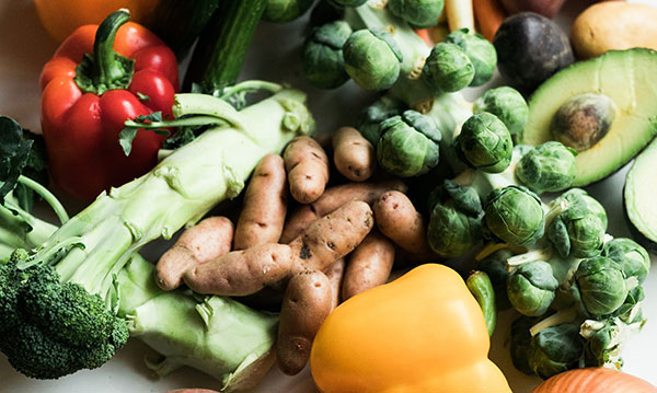 A Diet Primer: Vegetarian, Vegan, Organic or Paleo