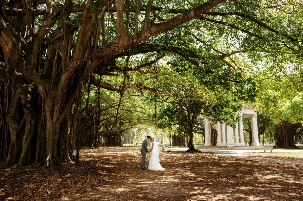 Save Energy During Wedding Season