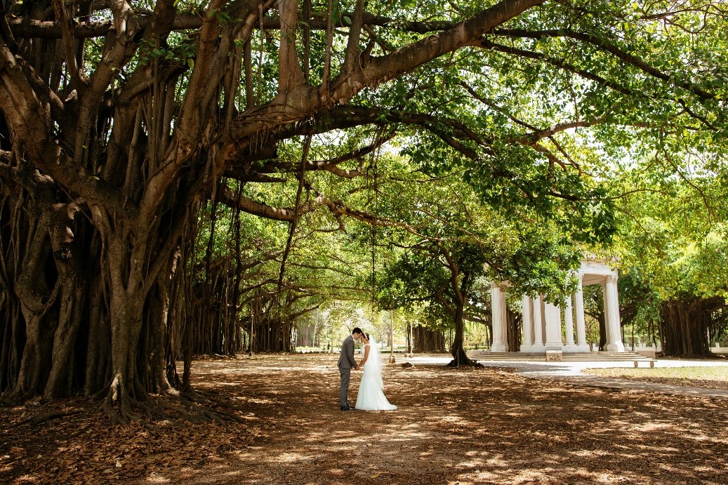 Save Energy During Wedding Season