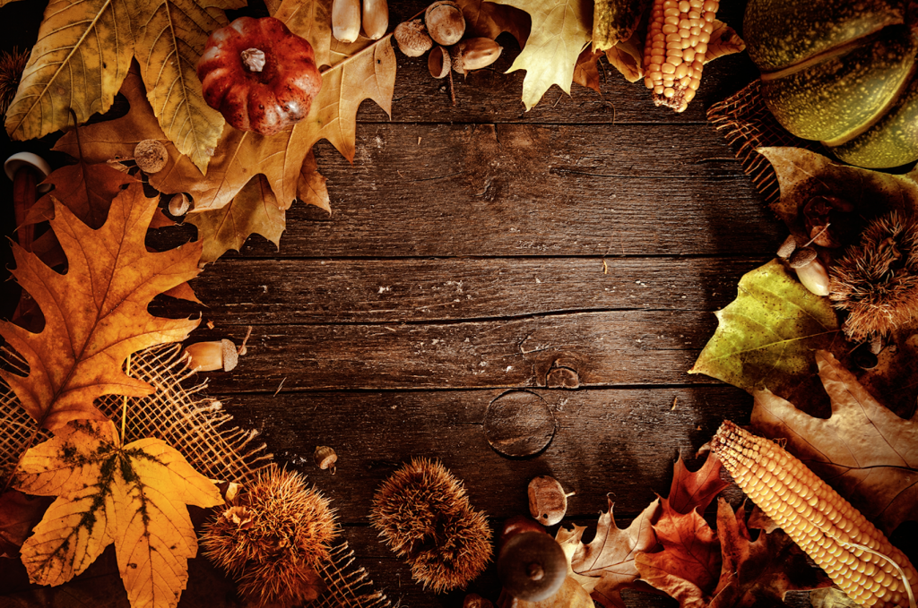 Tips for a Green Thanksgiving