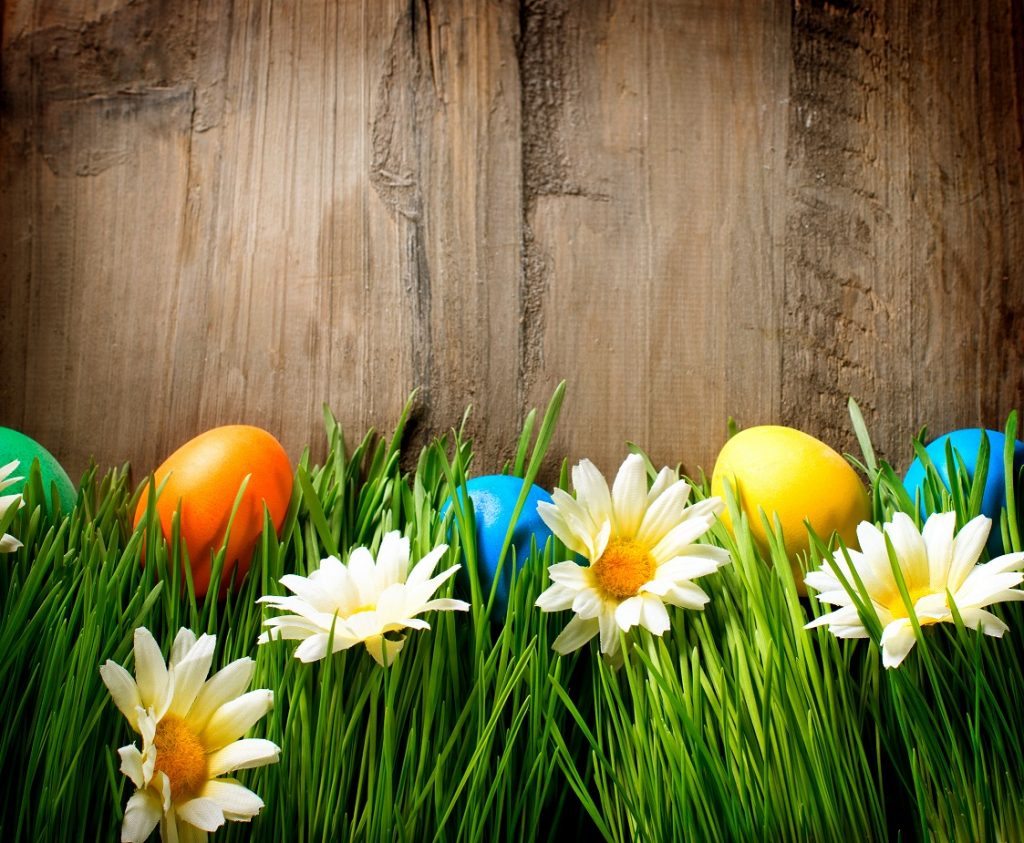 Eco-Easter Ideas