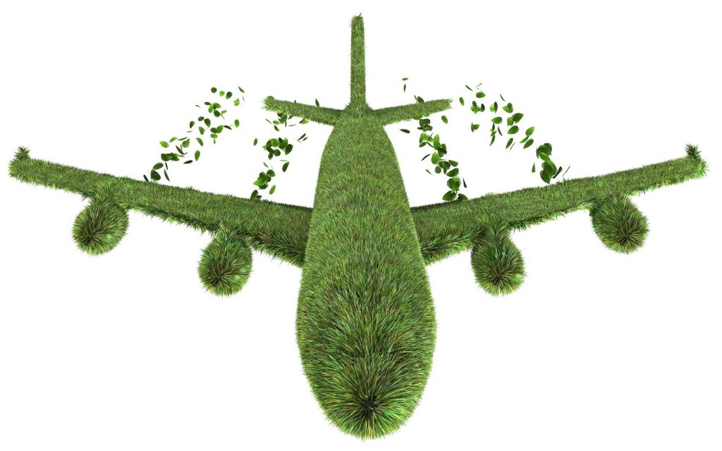 Product Profile: EcoTourist Bundle from terrapass