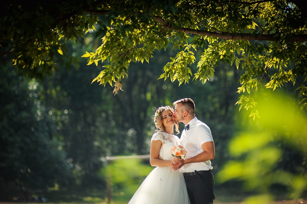 Green Wedding Carbon Offsets from terrapass