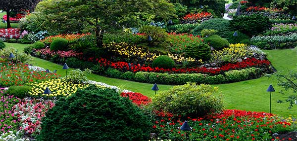 Lower Your Energy Bills With Landscaping