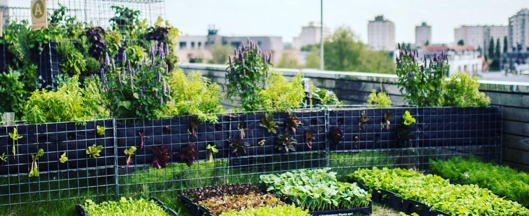 50 Photos of Urban Farming That Will Make You Want to Get Back to Nature