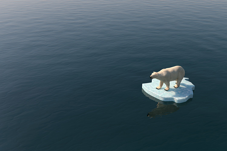 8 Climate Change Facts and Myths