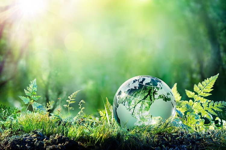 15 Ways to Reduce Your Carbon Footprint