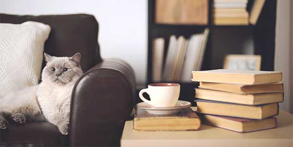 Indoor Air Pollution: Sources and Effects