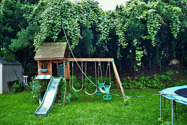 Power Outage Outdoor Options | Leaving Home | Yard image