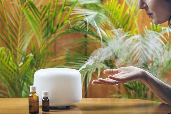 Humidifiers: Why We Need Them, How They Work, and Other FAQs