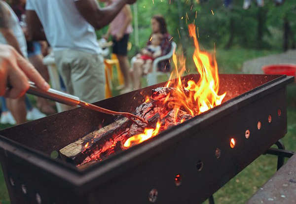 Coal Consumption Offsets Price of Electricity Image of Grill