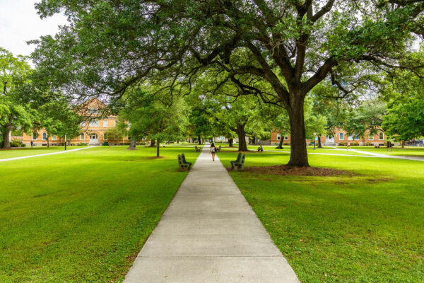 Top 15 Green Colleges in the United States Ranked