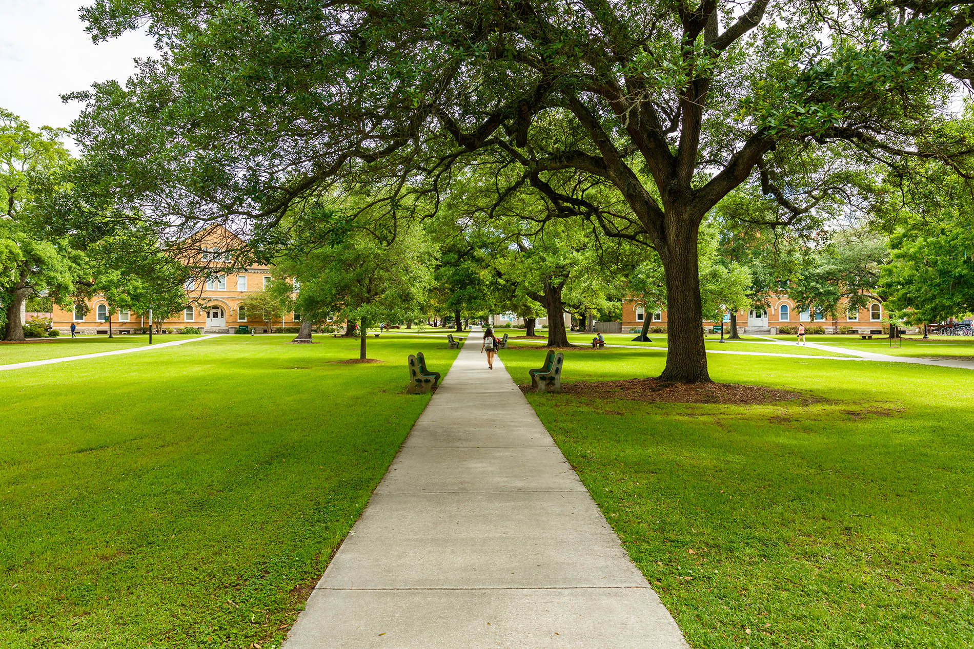 Top 15 Green Colleges in the United States Ranked