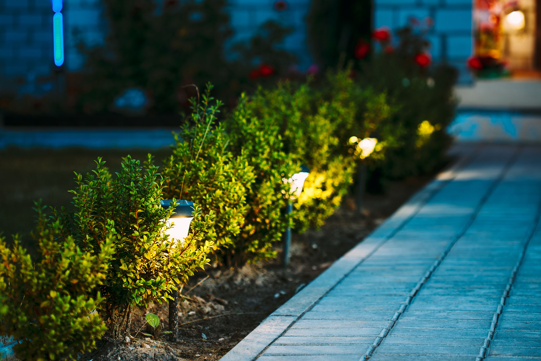 Solar Lights for the Garden: Illumination Without Emissions