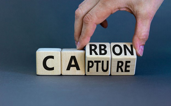 Carbon Capture Word Dice Carbon Capture Word Dice
