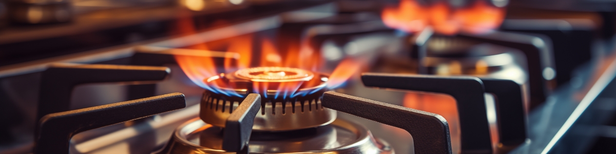 Just Energy vs. Constellation: Natural Gas Plans