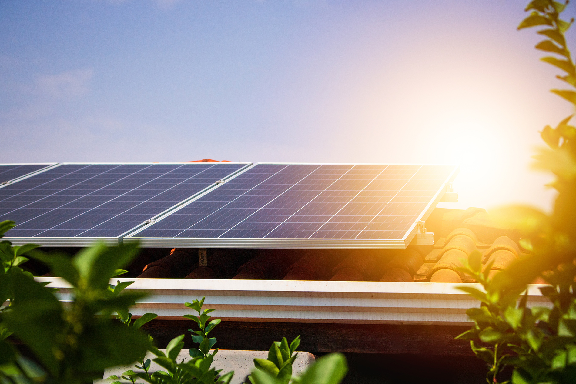 Solar Panels: How They Work, Credits, and More