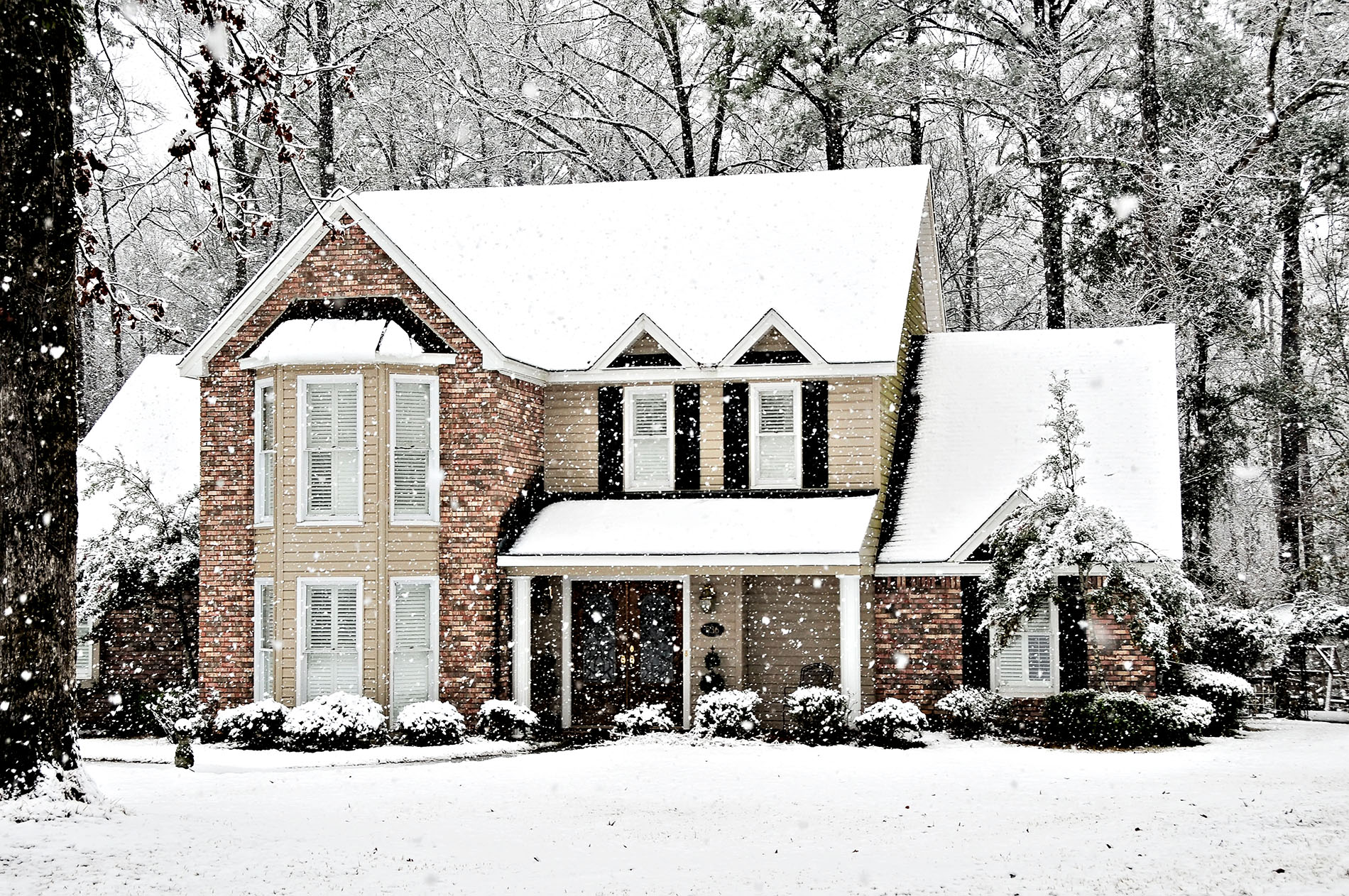 Yes, SearchGPT Can Help You Determine Your Best Electricity Options This Winter