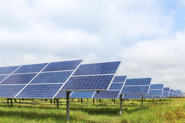 a field of solar panels